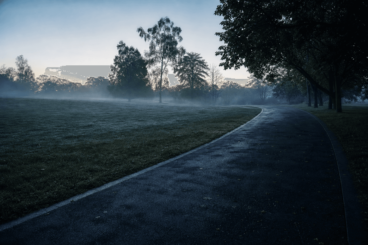 Quiet morning path